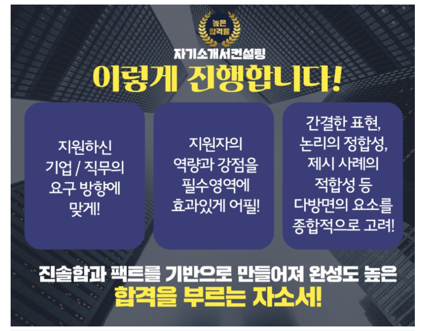 전문가소개 30 자소서컨설팅 – 잡코리아 사람인 자소설닷컴 / 첨삭 대필 합격후기 - 전문가소개 - 29